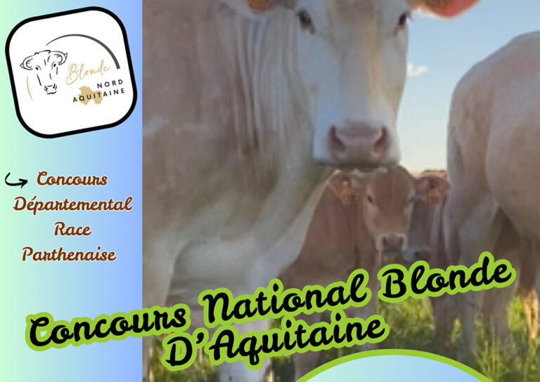 Affiche Concours national Blonde d'Aquitaine